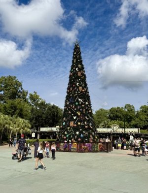 IMG_3318.jpeg IMG_3318.jpeg