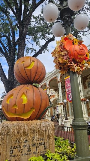 20251026_135712.jpg 20251026_135712.jpg