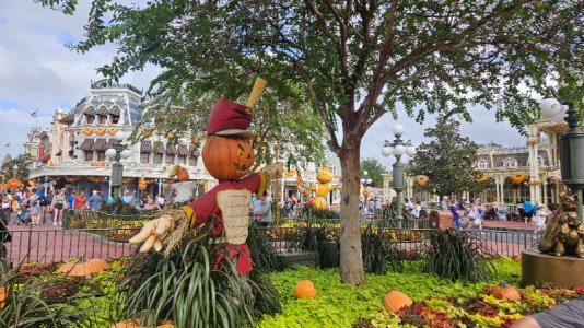 20251026_135818.jpg 20251026_135818.jpg