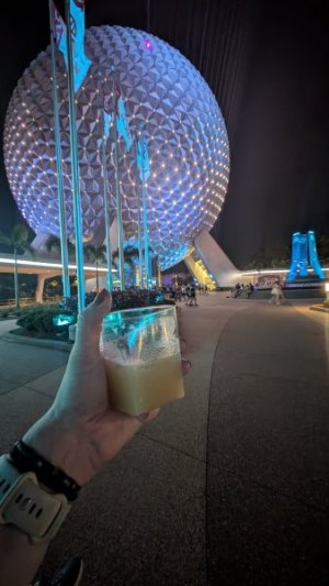 PXL_20250922_001622266.MP.jpg PXL_20250922_001622266.MP.jpg