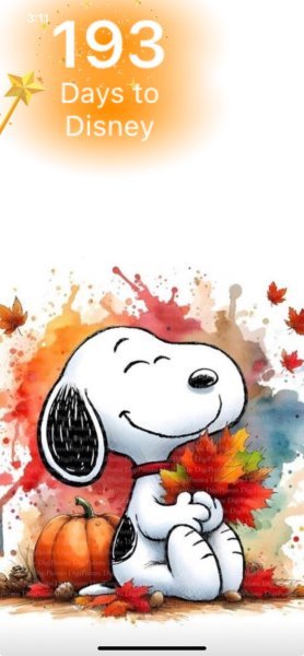 SNOOPY FALL LEAVES.jpeg