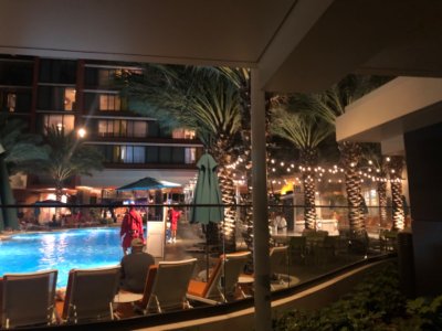 IMG_8184.jpeg IMG_8184.jpeg