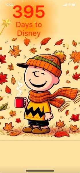 CB FALL MORNING.jpeg