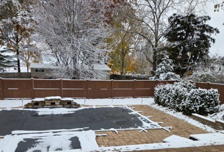 20251109_100330.jpg 20251109_100330.jpg