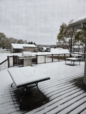 20251109_085608.jpg 20251109_085608.jpg