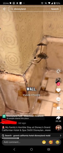 1000009139.jpg 1000009139.jpg