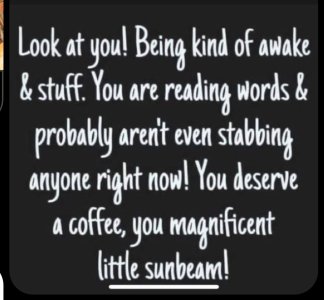 IMG_9155.jpeg IMG_9155.jpeg