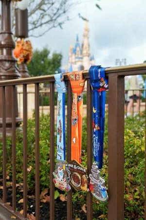 1924188766_MEDIUM (2).jpg