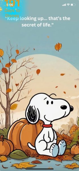 SNOOPY LOOKING UP.jpeg