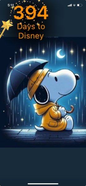 SNOOPY RAINY NIGHT.jpeg