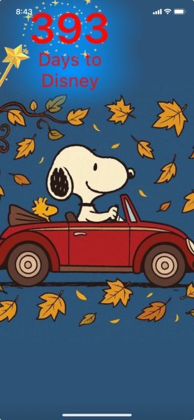 SNOOPY FALL DRIVE.jpeg