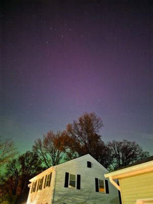 1762974874918.jpeg 1762974874918.jpeg