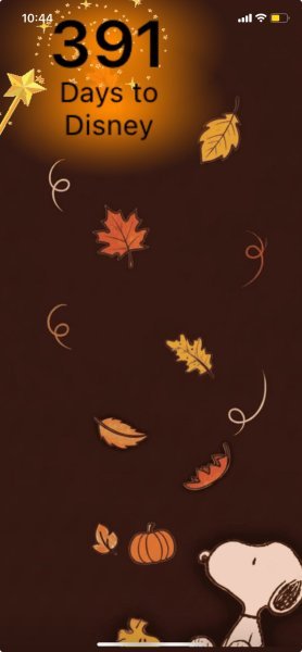 SW FALL WALLPAPER.jpeg