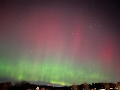 IMG_7991.jpeg IMG_7991.jpeg