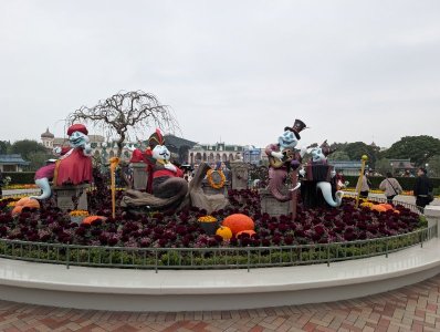 PXL_20251031_054813503.jpg PXL_20251031_054813503.jpg