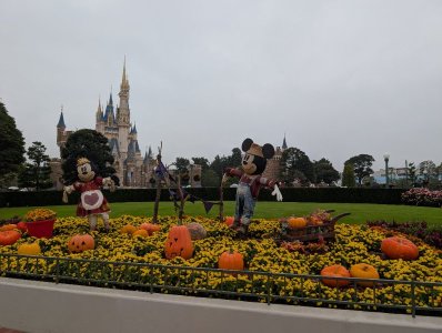 PXL_20251031_054943325.jpg PXL_20251031_054943325.jpg