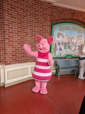 PXL_20251031_055518546.jpg PXL_20251031_055518546.jpg