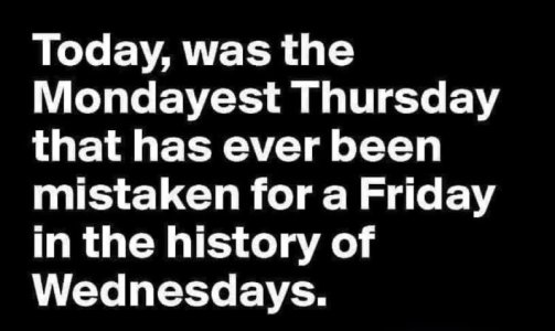 IMG_9256.jpeg IMG_9256.jpeg