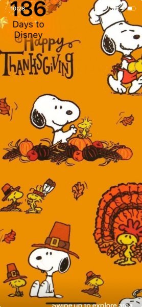 SW HAPPY THANKSGIVING.jpeg