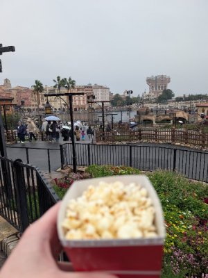 PXL_20251031_062529649.MP.jpg PXL_20251031_062529649.MP.jpg