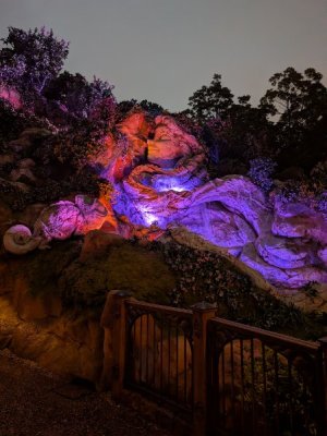 PXL_20251031_080456908.MP.jpg PXL_20251031_080456908.MP.jpg