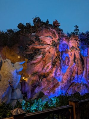 PXL_20251031_080520137.MP.jpg PXL_20251031_080520137.MP.jpg