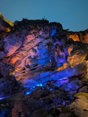 PXL_20251031_080644882.MP.jpg PXL_20251031_080644882.MP.jpg