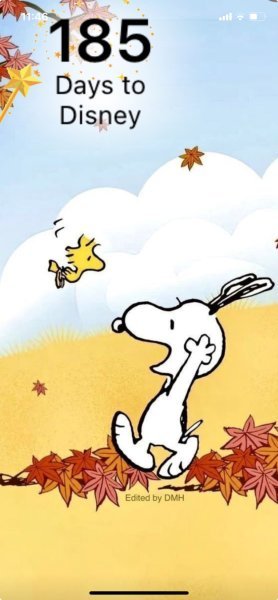 SW FALL LEAVES LEAP.jpeg