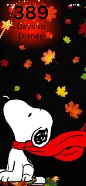 SNOOPY CHILLY FALL LEAVES.jpeg