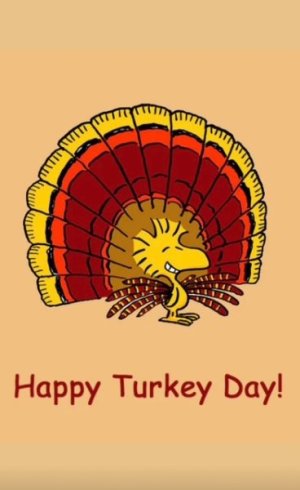 WOODSTOCK TURKEY DAY 2025.jpg