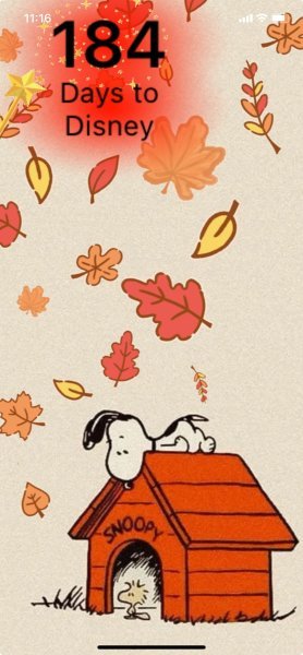 SW FALL DOGHOUSE.jpeg