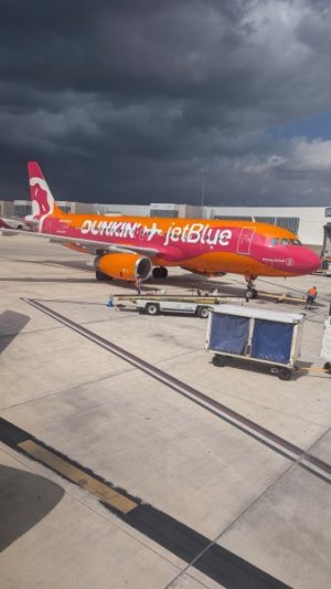 PXL_20250608_200011037.jpg PXL_20250608_200011037.jpg