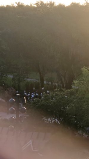 20251027_075707.jpg 20251027_075707.jpg