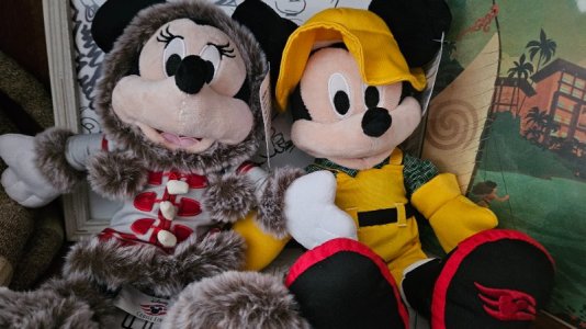 20251116_124958.jpg 20251116_124958.jpg