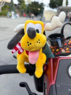 IMG_6549.jpeg IMG_6549.jpeg