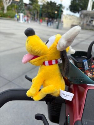 IMG_6550.jpeg IMG_6550.jpeg