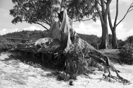 DSC_0041.jpeg DSC_0041.jpeg