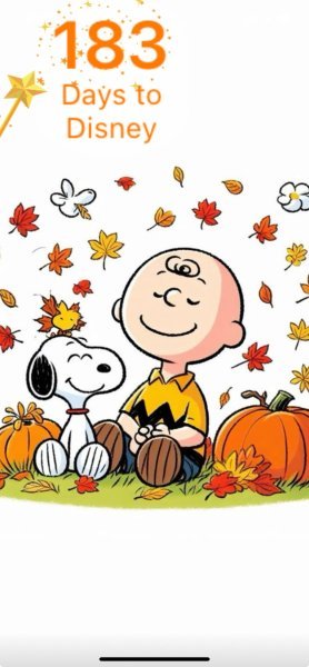 SW CB PUMPKIN PATCH.jpeg