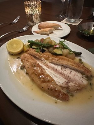 IMG_7864.jpeg IMG_7864.jpeg