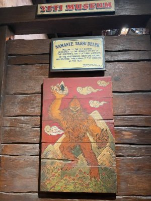 IMG_6603.jpeg IMG_6603.jpeg