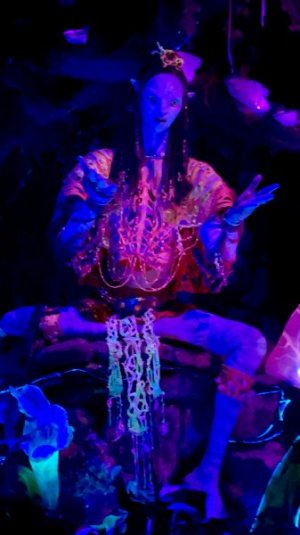 IMG_6656.jpeg IMG_6656.jpeg