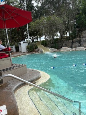 IMG_9705.jpeg IMG_9705.jpeg