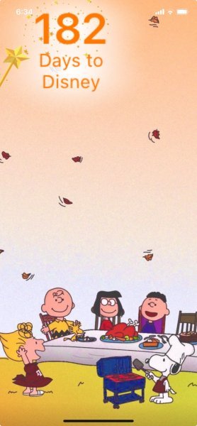 PEANUTS THANKSGIVING.jpeg