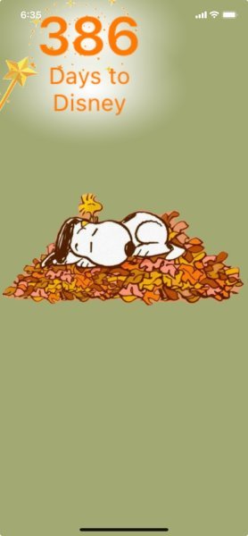 SW FALL LEAF NAP.jpeg