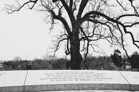 _MG_3695.PNG _MG_3695.PNG