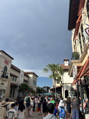 1763489690871.jpeg 1763489690871.jpeg