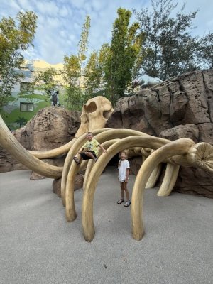 1763490627165.jpeg 1763490627165.jpeg