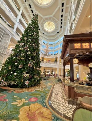 IMG_0494.jpeg IMG_0494.jpeg