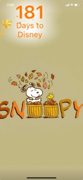 SW FALL CLEANUP.jpeg