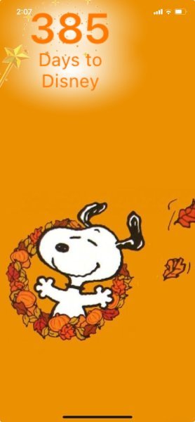 SNOOPY FALL WREATH.jpeg